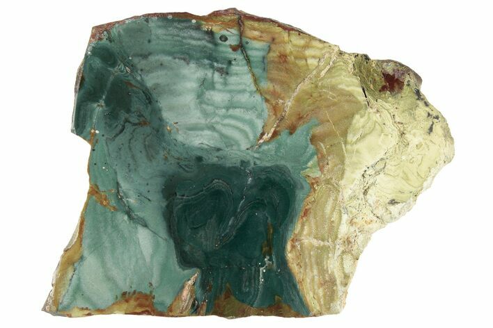 Gary Green Jasper (Larsonite) Bog Wood Slab - Oregon #263459